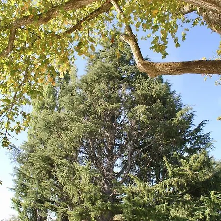 Domaine De Bonaveau - & Piscine